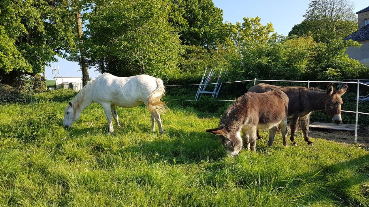 La Bergerie Du Mesnil Bed & Breakfast Livry  Bagian luar foto